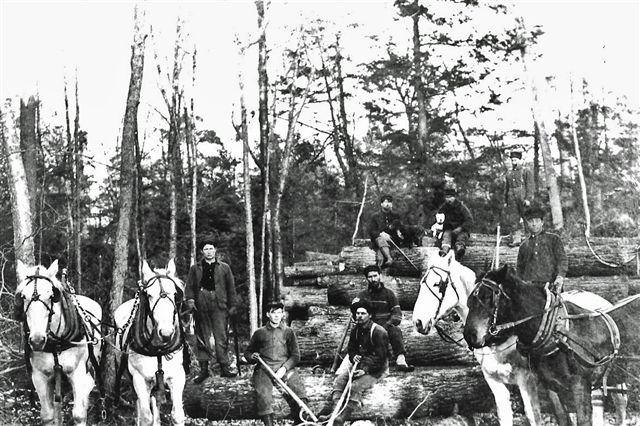 Albert Mercier and Ludger Beaudin